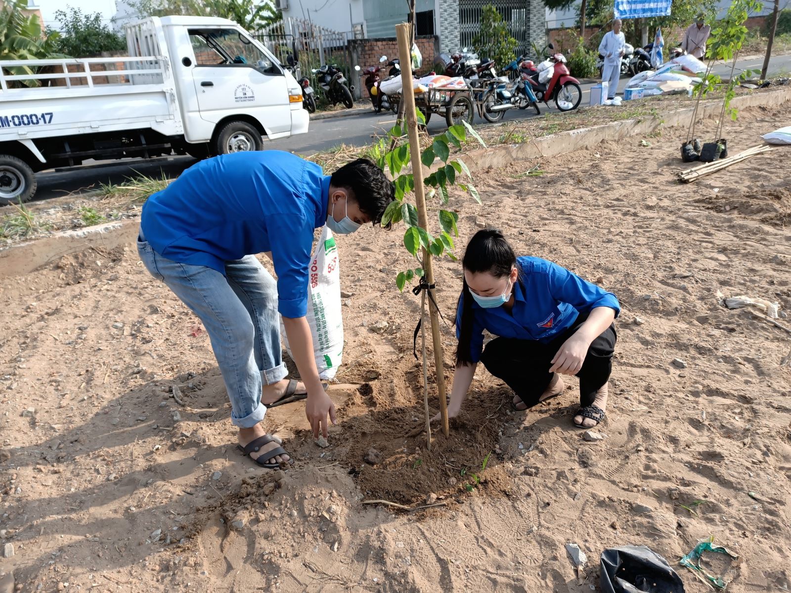 Chi đoàn trường tham gia trồng cây xanh ở KDC Long Phú